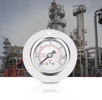 Нефтехимическая промышленность Pressure Gauges