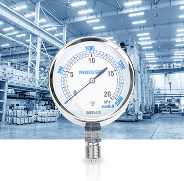 Промышленная промышленная промышленность Pressure Gauges